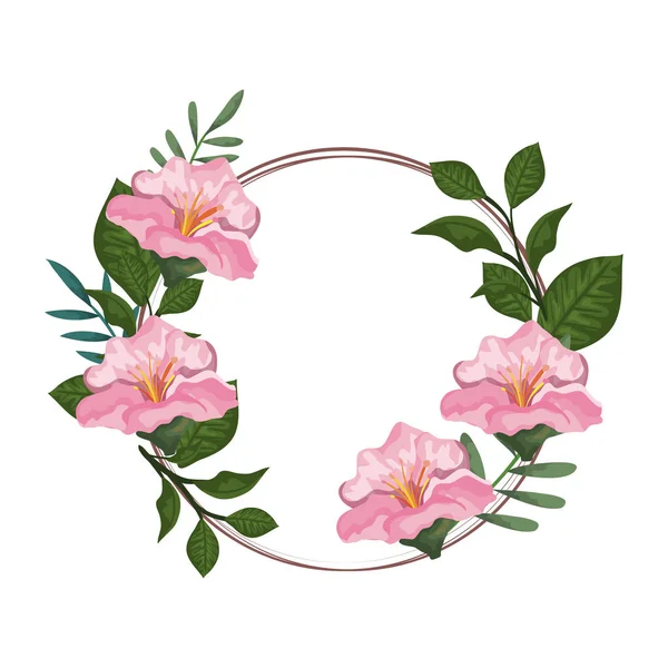 Ícone de decoração floral circular —  Vetores de Stock