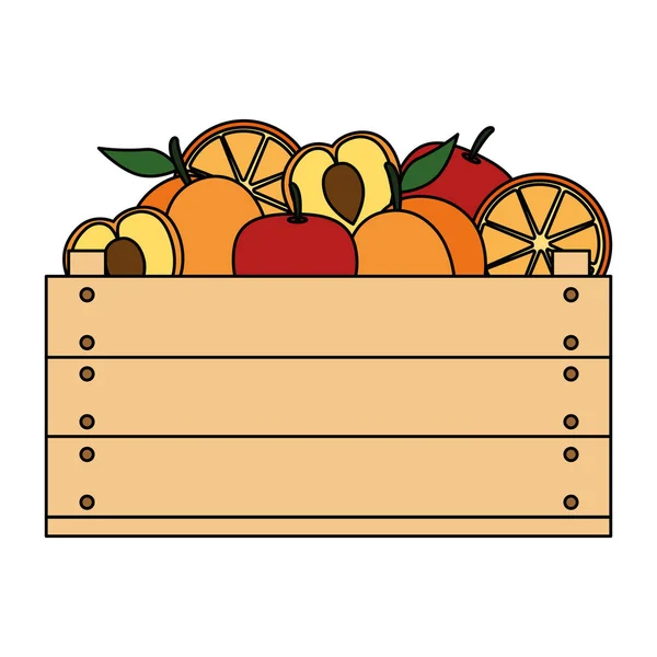 Delicious fruits in wooden box — Stock Vector