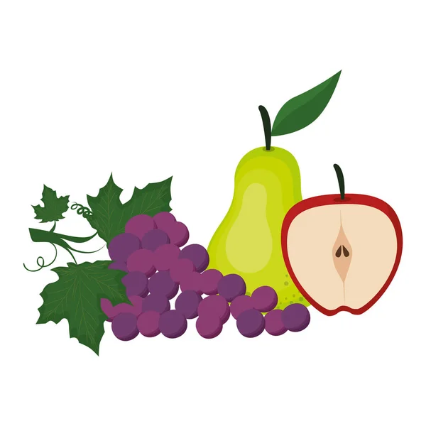 Heerlijke set vruchten gezond eten — Stockvector