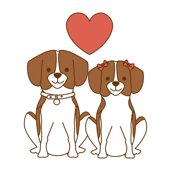 Cute dogs couple lovers with hearts characters — Stock Vector