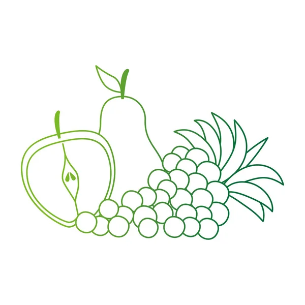 Delicioso conjunto de frutas alimentos saludables — Vector de stock