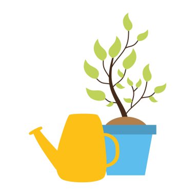 sulama bitki saksı olabilir