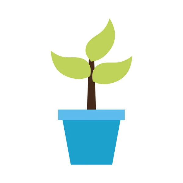 鉢植えの自然 — ストックベクタ
