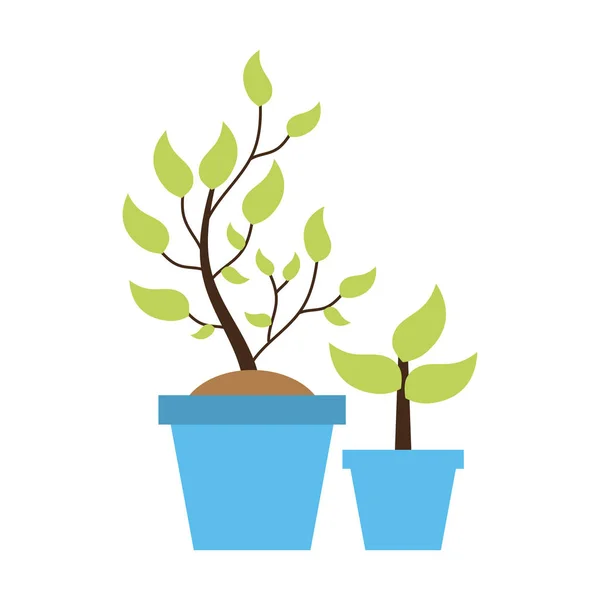 Potted plant tree — Stock Vector