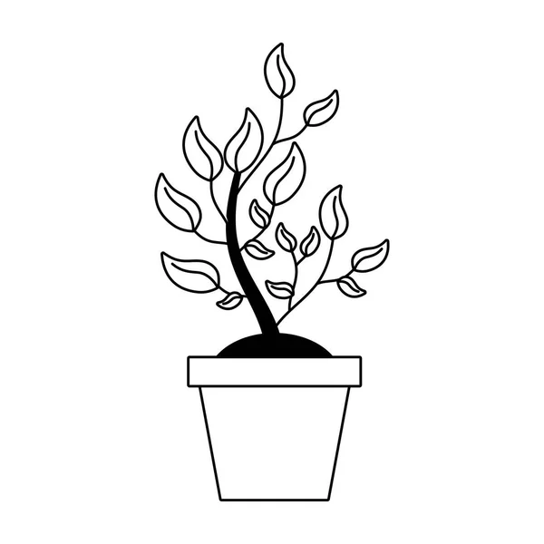 Saksı bitki doğası — Stok Vektör
