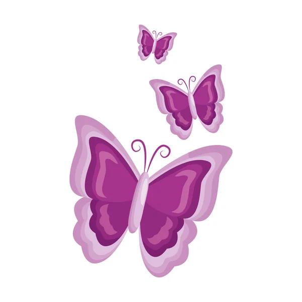 Mariposa naturaleza insecto — Vector de stock