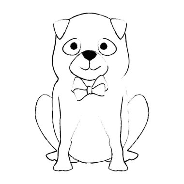 sevimli köpek ırkı karakter