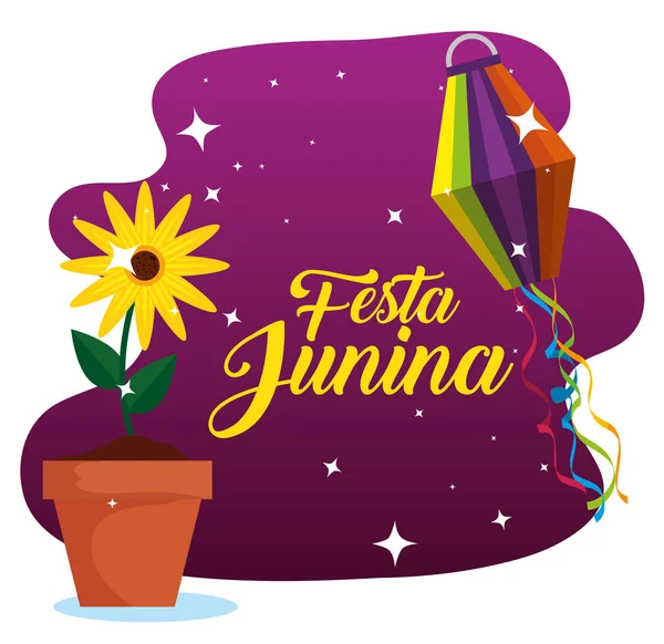 Girassol planta com lanterna para festa junina —  Vetores de Stock