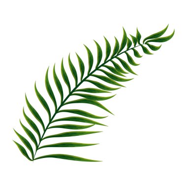 egzotik yaprak bitki simgesi