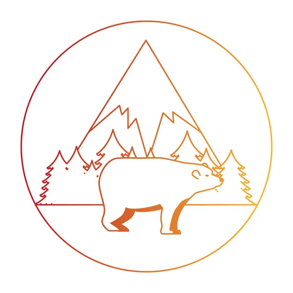 Wildbär Grizzlyrobbe — Stockvektor