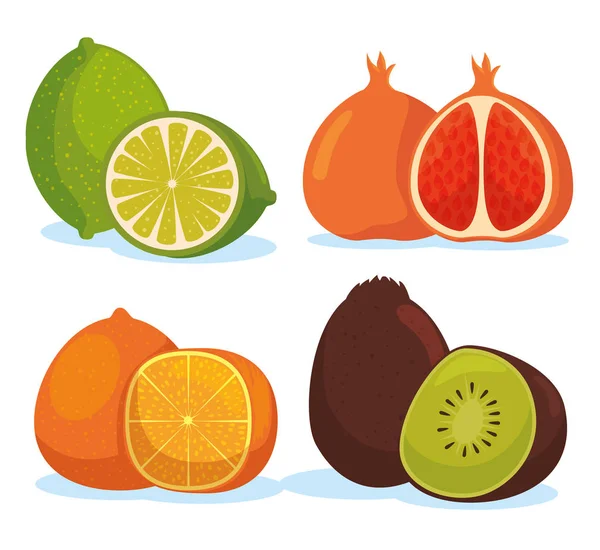 Set de limón con naranja y kiwi con frutas de granada — Vector de stock