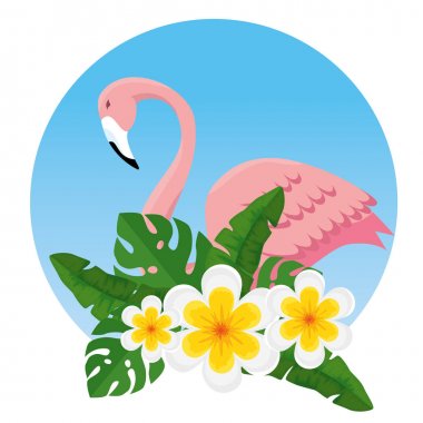 tropikal çiçekler ve egzotik Flaman ile yaprakları