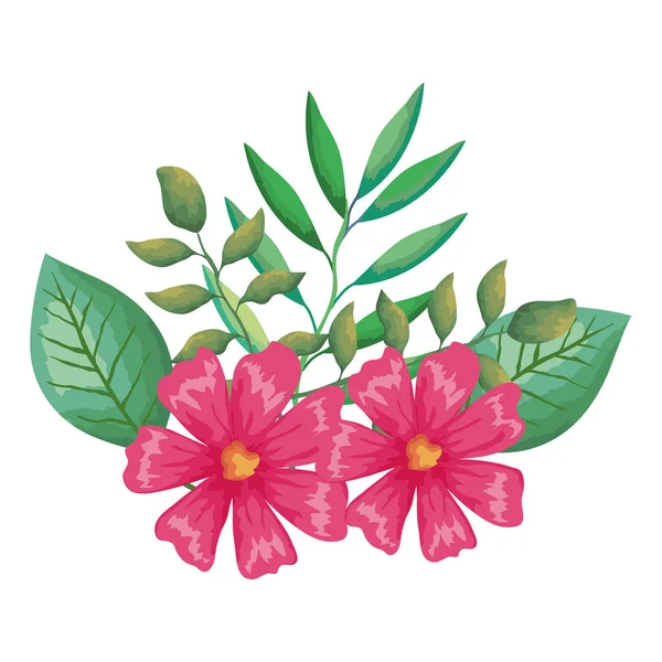 Flower and leafs decorative icon — Stock Vector