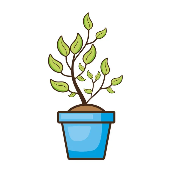 Potted plant nature — Stock Vector