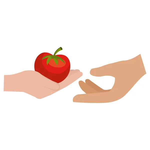 Hände mit frischen Tomaten — Stockvektor