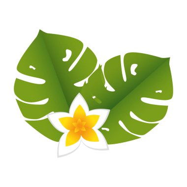 egzotik ve tropikal çiçek