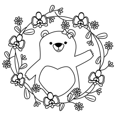 sevimli ayı çiçekleri