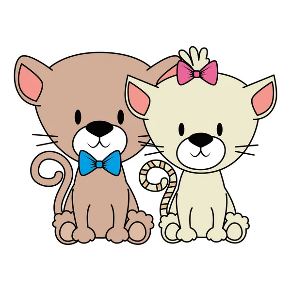 Lindo y adorable gatitos pareja caracteres — Archivo Imágenes Vectoriales