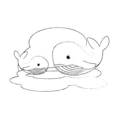 sevimli anne ve oğlu balinalar karakterler