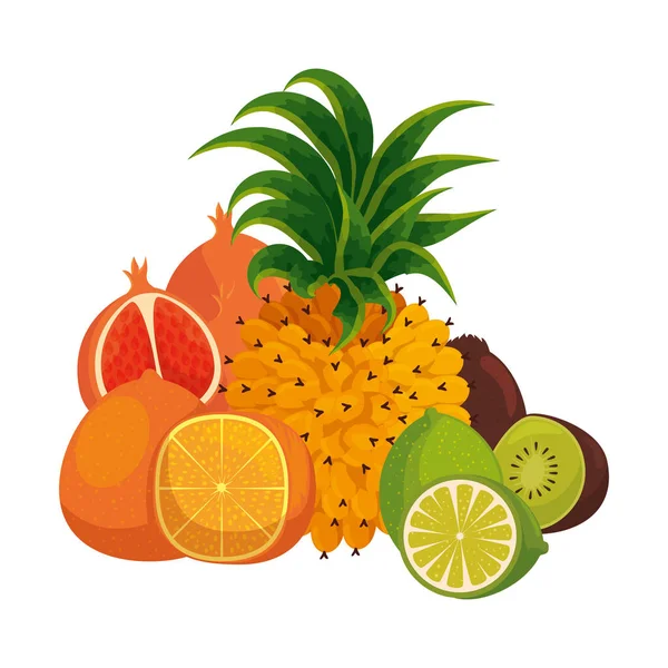 Grupo de frutas tropicales y frescas — Vector de stock