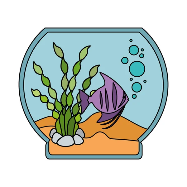 Aquarium bowl with colors fish — Stock Vector
