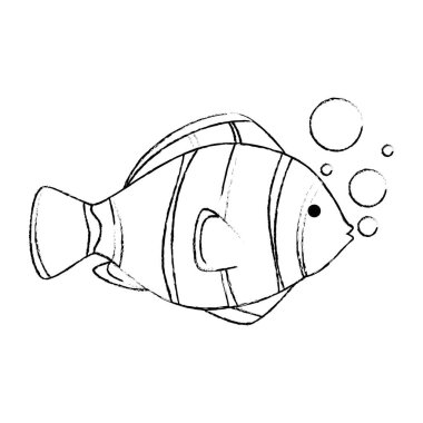 hava kabarcıkları ile sevimli süs balığı