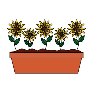 saksı simgesinde ayçiçeği
