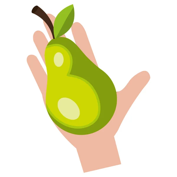 Hand with fresh pear — Stock Vector