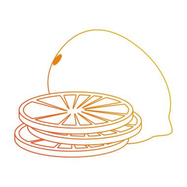 guava taze meyve sağlıklı