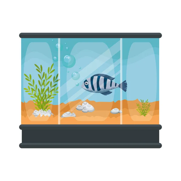 Acuario cuadrado con colores peces — Vector de stock