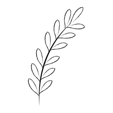 deniz bitkisinin yaprağı