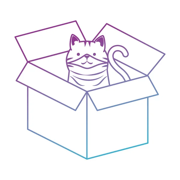 Lindo gato mascota en caja de cartón carácter — Vector de stock