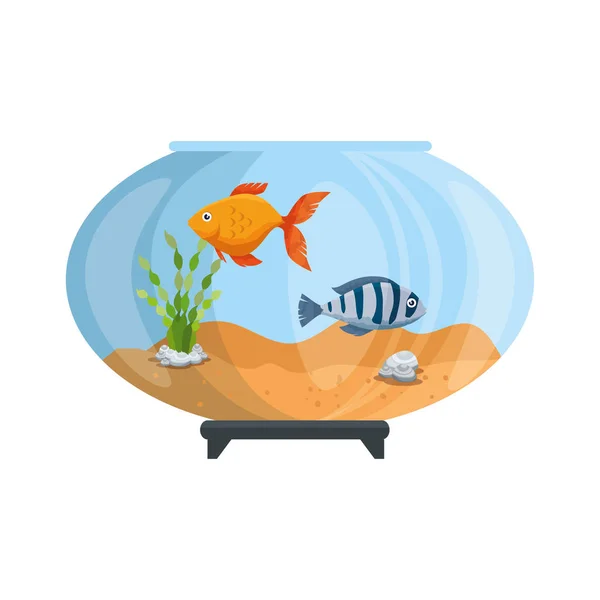 Aquarium Bowl met kleuren vis — Stockvector