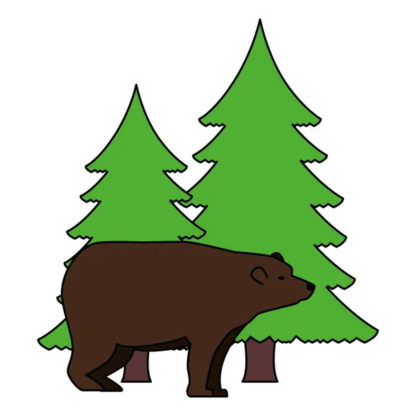 Bear grizzly with pines forest — Stock Vector