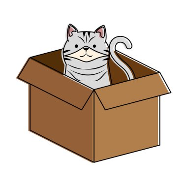 karton kutu karakter sevimli kedi maskotu