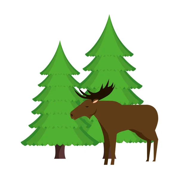 Alce canadense selvagem com pinheiros floresta — Vetor de Stock