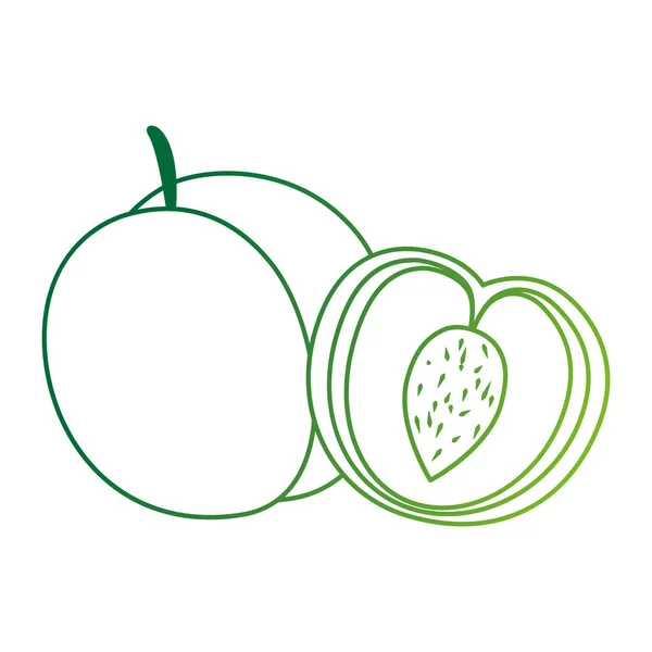 Icono de fruta fresca de mango — Vector de stock