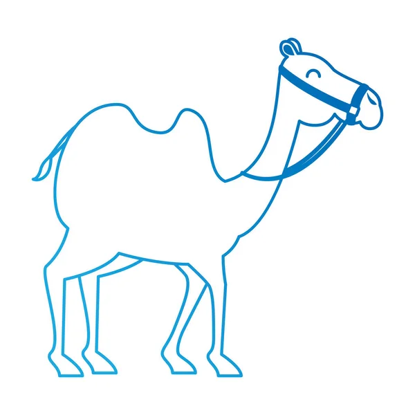 Camel animal transport arabe — Wektor stockowy