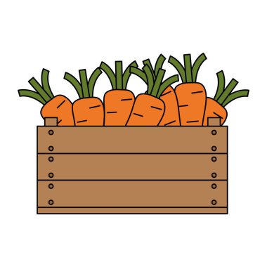 ahşap kutu vejetaryen gıda taze havuç