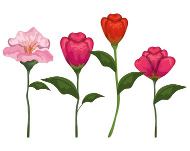 yaprakları ile güzellik güller ve çiçekler bitkiler ayarlamak