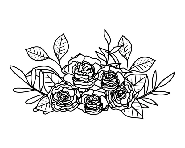 Hermosa decoración de rosas y hojas — Vector de stock