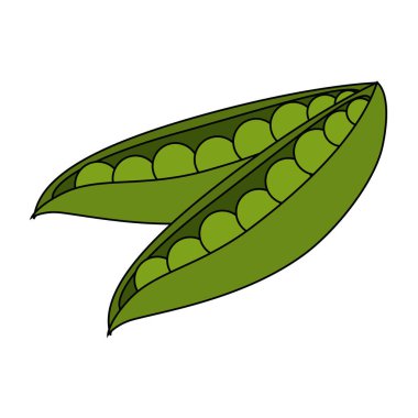 taze fasulye vejetaryen gıda