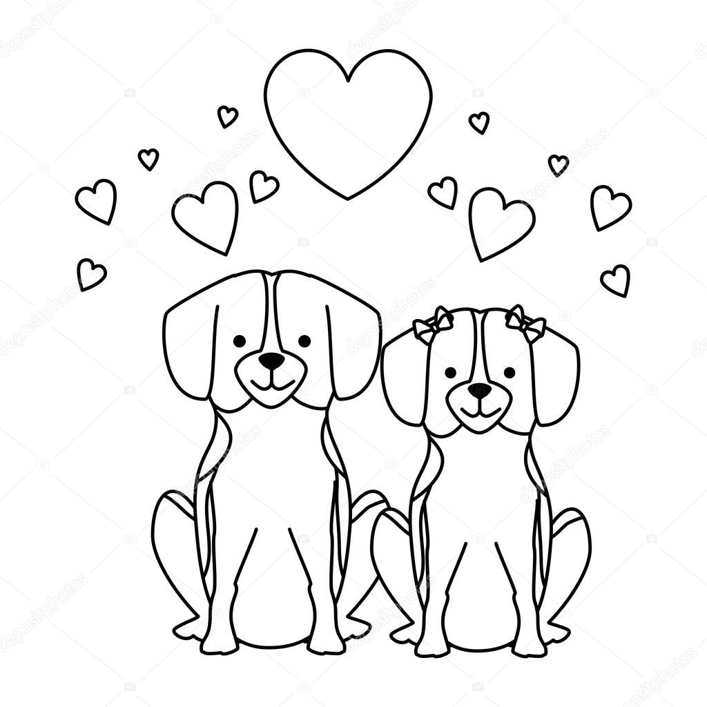 cute dogs couple lovers with hearts characters