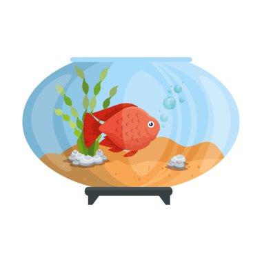 renkleri balık ile akvaryum kase