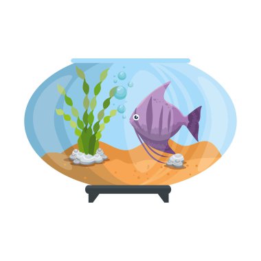 renkleri balık ile akvaryum kase