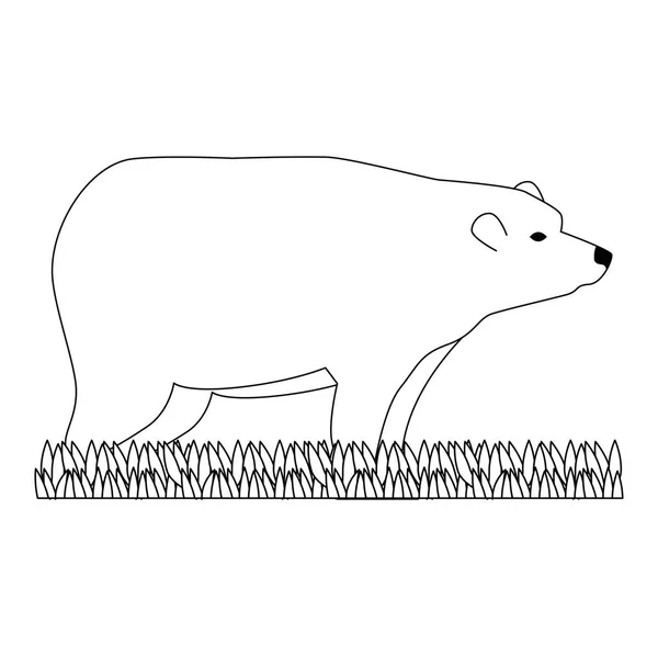 Wild grizzly beer pictogram — Stockvector