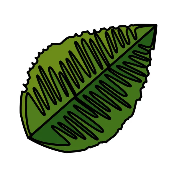 Ecología planta hoja icono — Vector de stock