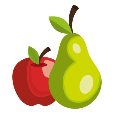 elma ve armut taze meyve