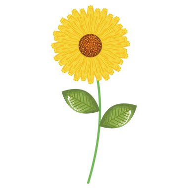 çiçek ve yapraklar dekoratif simgesi