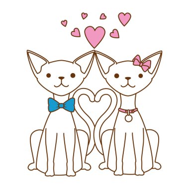 kalpleri karakterleri ile sevimli çift kedi maskotlar